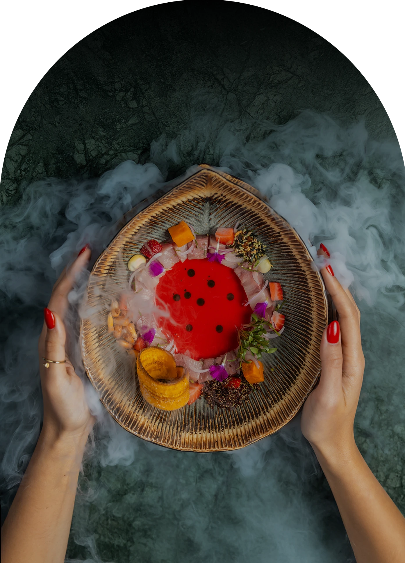 Gastronomy D 3