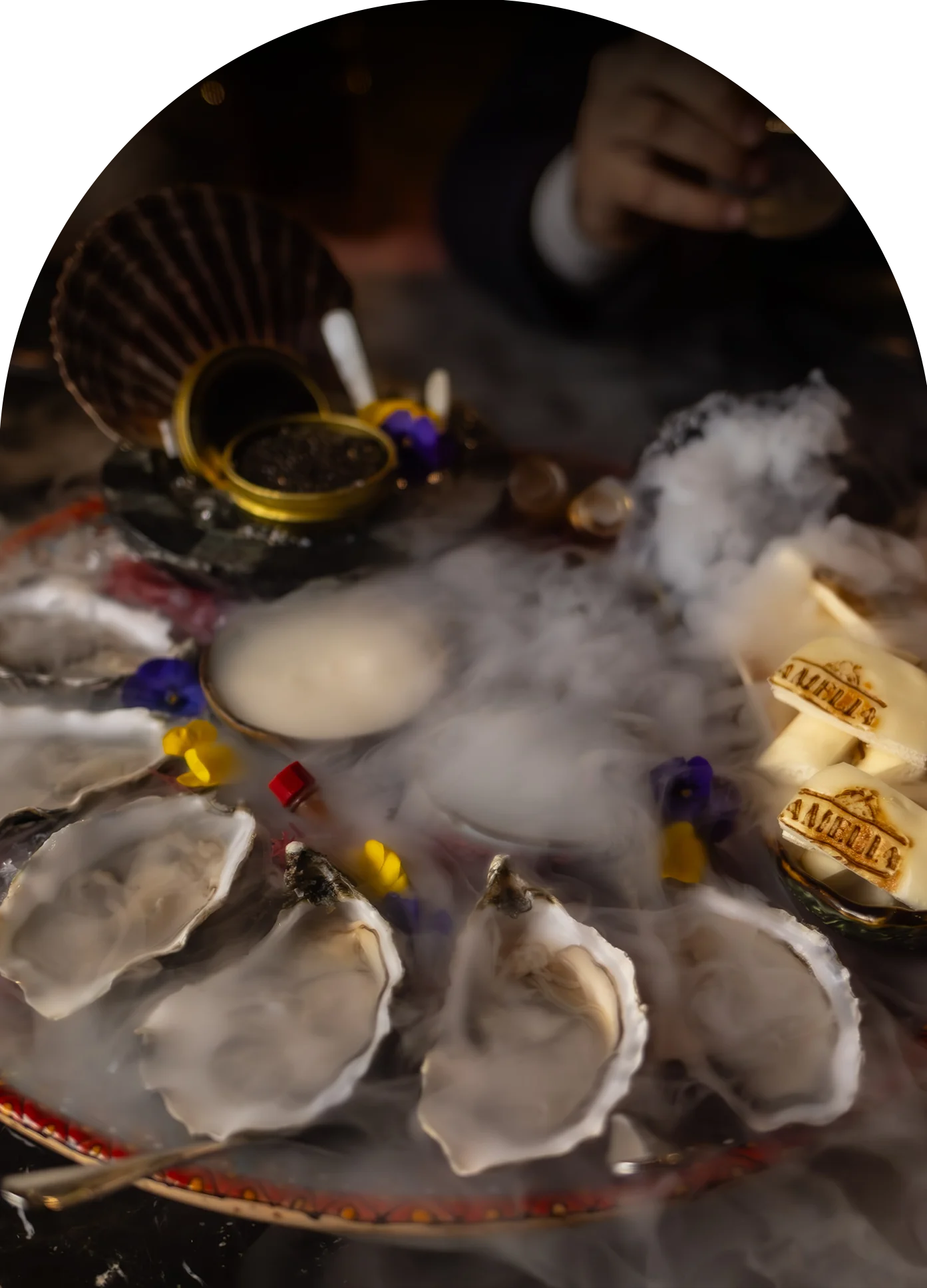 Gastronomy D4